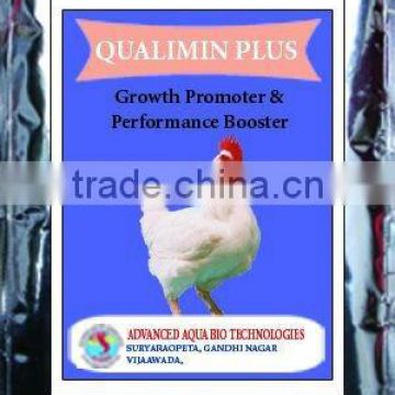 Calcium,Phosphorus nutritional supplement for chicken Poultry