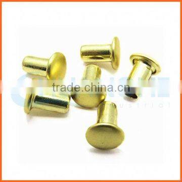 High Quality Ss304 Flat Head Hollow Rivet photo-5