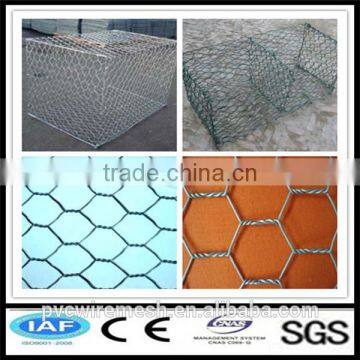 Gold manufacturer gabion wire mesh/Hexagonal wire netting