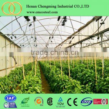 Cheap Polycarbonate Agricultural Greenhouse , Low Cost Tunnel Plastic Greenhouse for Sale photo-2