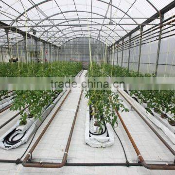 Poly Tunnel Agricultural Greenhouse photo-2