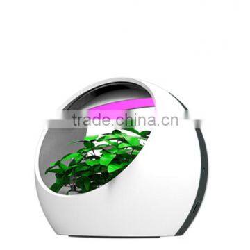 Natural Purification Colorful Intelligent Desktop Growing System