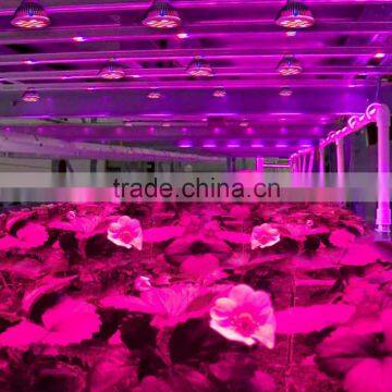 High Efficient 36w LED Grow Light, Collee Plant Grow Lights E27 Growing Bulbs For Garden, Plant, Greenhouse photo-5