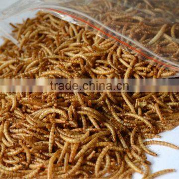 100% natural and nutrient cheap chicken feed dried mealworms