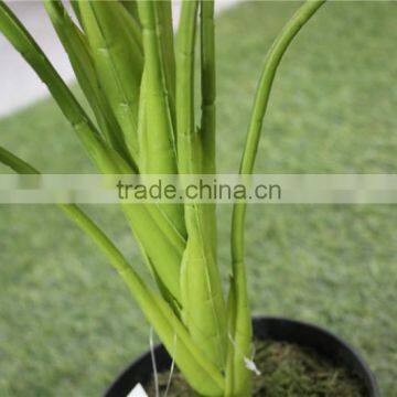 Brand Name Artificial Bonsai Plants Artificial Wild Taro Bonsai Decor photo-6