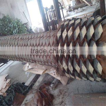 LZB081422 Outdoor Fiberglass Palm Tree Artificial Decorative Metal Palm Trees for Sale photo-3