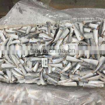 Frozen Sardine HGT