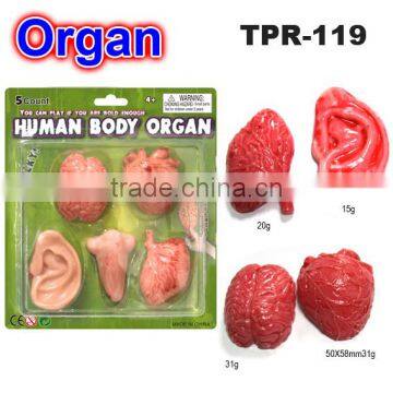 Crazy Soft Plastic Human Body Organs Toys