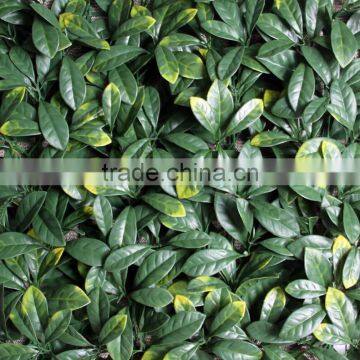 Artificial Grass Mat for Make Hedge photo-2