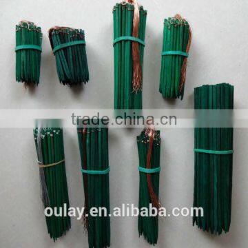 Dyed bamboo sticks for supporting tomato