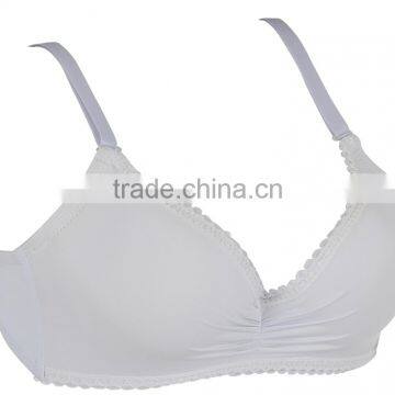 HSZ-58002 Wholesale Ladies Underwear Sexy Big Size Bra For Girls Custom Made Bras photo-4