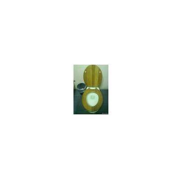 Toilet Seat