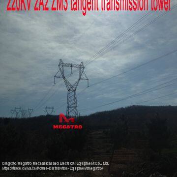 MEGATRO 220KV 2A2 ZM3 Tangent Transmission Tower photo-4