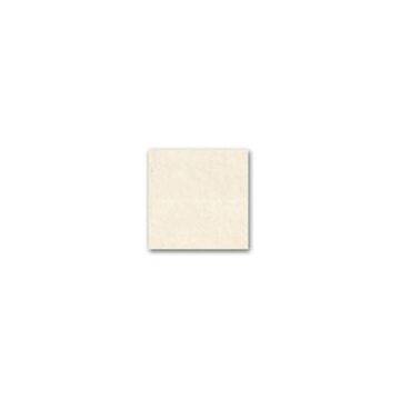 Polished Tile