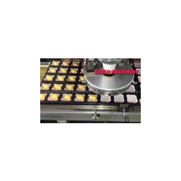 Automatic Food Encrusting and Tray Aligning Machine