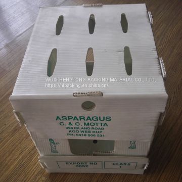 4mm pp corrugated sheet for fruit box