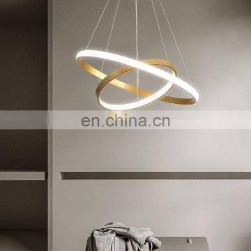 Living Room Chandelier Modern Minimalist Creative Led Duplex Building Ring Nordic Bedroom Dining Room Lamps photo-6