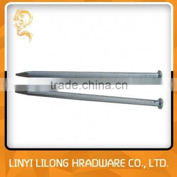 Galvanized Straight Concrete Nail