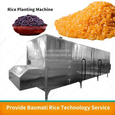 2022 Top Sell Artificial Rice Processing Line Fortified Rice Production Line for India