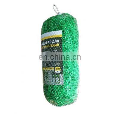 Size 2x10m Factory direct Supply Agriculture Climbing trellis netting / vertical and horizontal support mesh