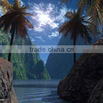 china 3d Lenticular picture for home decoration