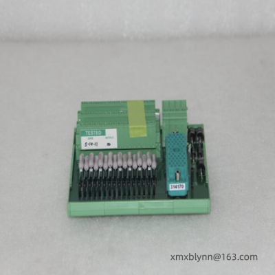 TRICONEX 9771 3000656-210 Bloc de bornes