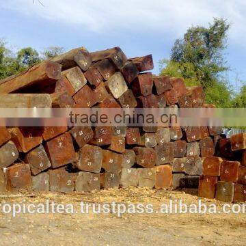 Tropical Sindora big size Cambodia wood