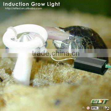 top indoor induction grow light and hydroponics led lights growing