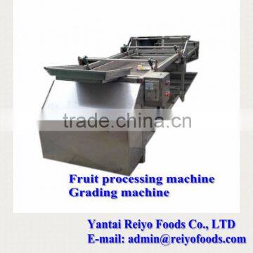 Fruit Stem Removing Machine / Chilli Stem Removing Machine photo-2