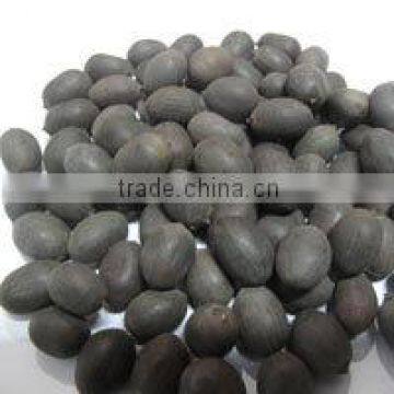 BLACK LOTUS SEED BEST QUALITY_BEST PRICE