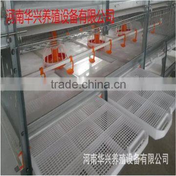 Broiler Farm for Broiler Feed Rearing photo-3