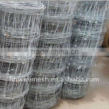 paddock wire mesh fence