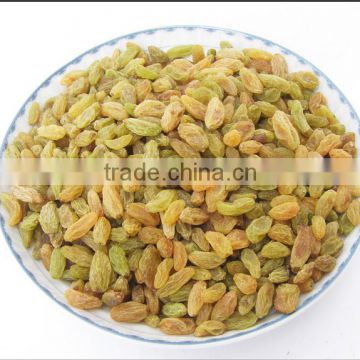 Chinese Nutritional Iranian Raisin