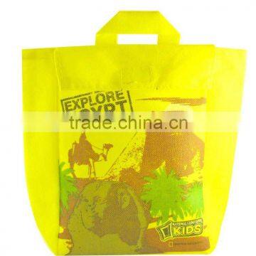 PP Non Woven Shopping Bag