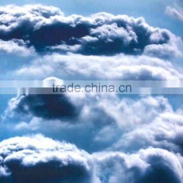 Bulk Sale v Neck Custom Polyester Round Neck t Shirt photo-4