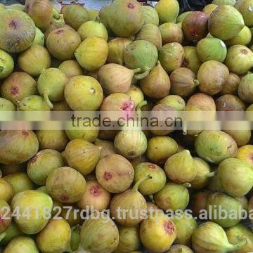 fresh fig and dry fig exporter from india