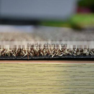 Artificial Short Grass Used as Pet Mat
