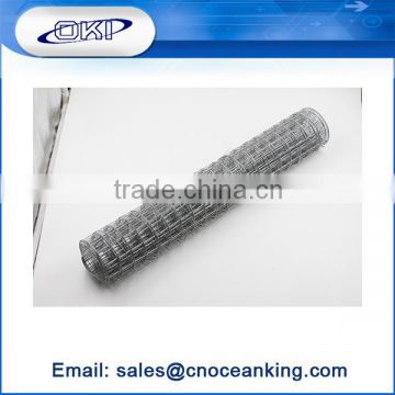 High quality hot sale 1 inch galvanized welded wire mesh