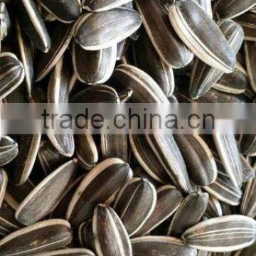 Best Cheap Sunflower Seed 601 photo-2