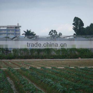 Multi Span Poly Carbonate PC Agriculture Commercial Greenhouse photo-2