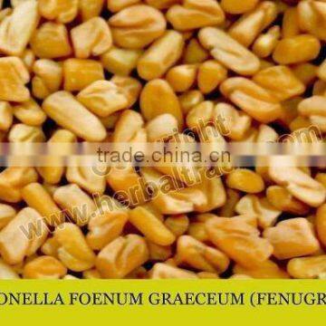 Fenugreek Seed powder