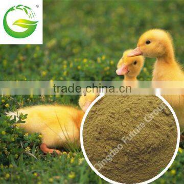 High Protein Animal Feed, Amino Acid For Feedstuff