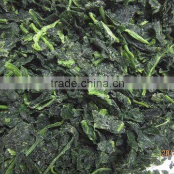 IQF Chopped Spinach Cuts photo-2