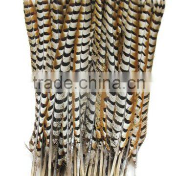 No.1 Manufactor ZPDECOR Best Selling Cheap Long Natural 60-70cm Length Reeves Venery Pheasant Tail Feathers photo-2