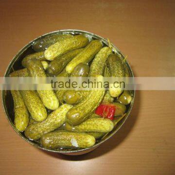 Pickled Cucumber 3-6cm, 6-9cm in Tin 3000g