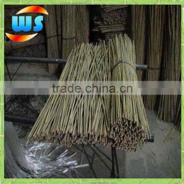 Bamboo cane for support plants 120cm x 10-12mm