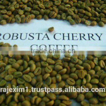 Robusta coffee bean AB suppliers