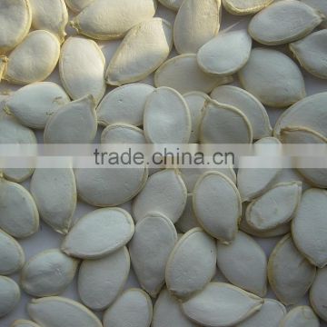 SNOW WHITE PUMPKIN SEEDS PUMPKIN SEEDS,WHITE PUMPKIN SEEDS