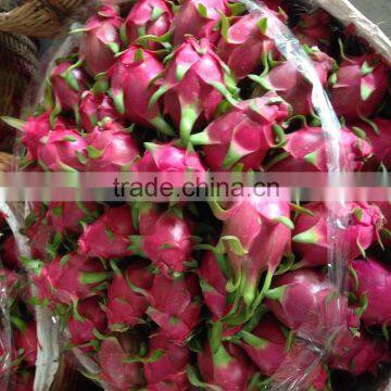 Dragon Fruit photo-3