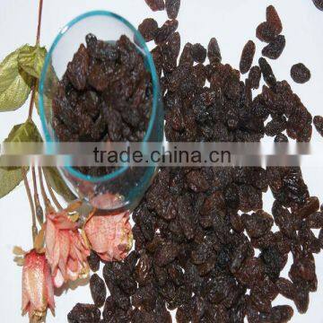 Top quality large/medium/small size sultana raisin